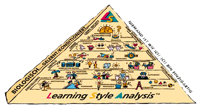 Learning Style Analysis